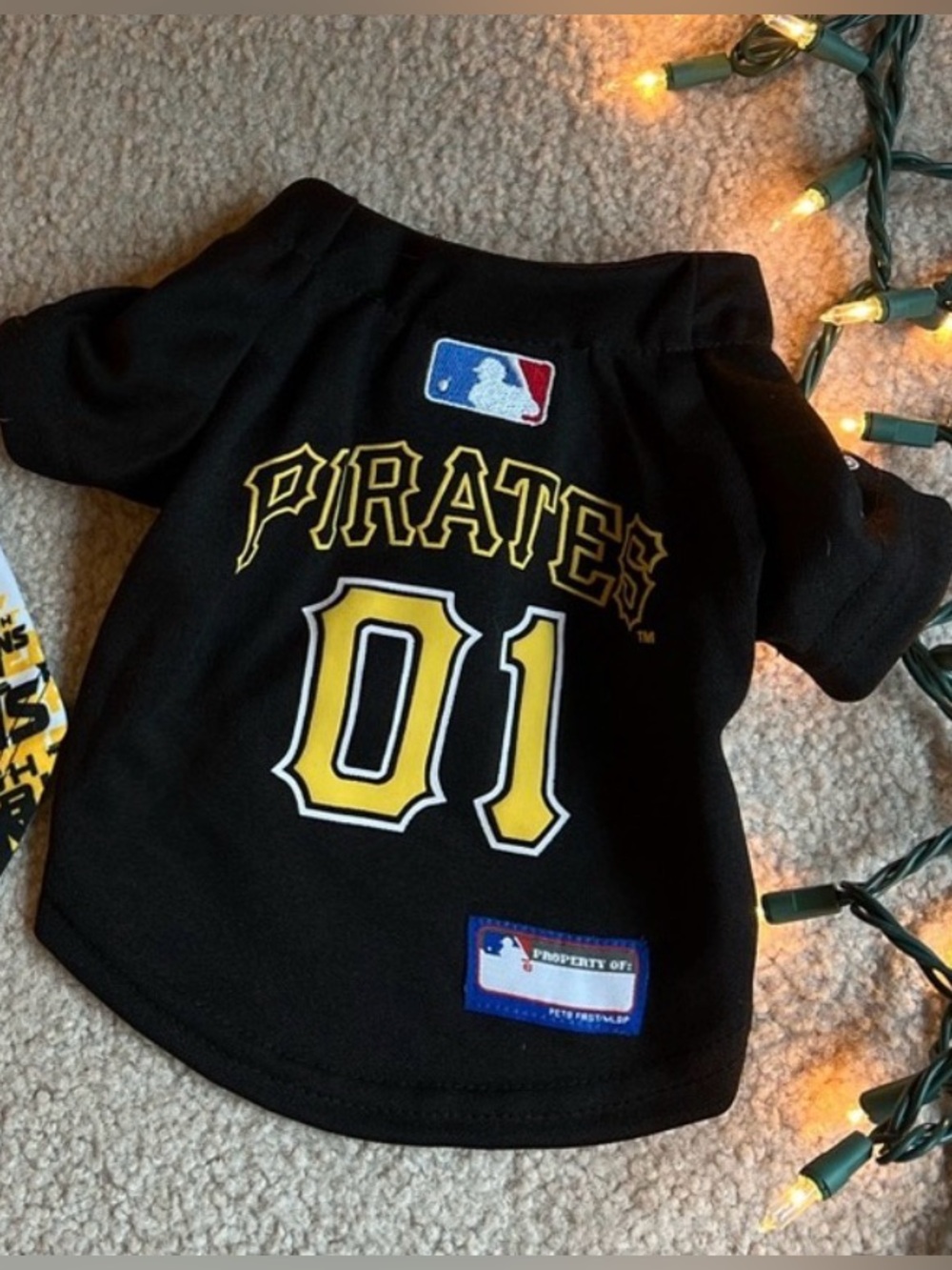 Pittsburgh Pirates Pet Black '01 Jersey Top